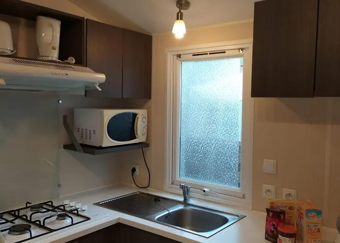 Mobil Avec Terrasse - 2 - Api-1-52-503 * Saint-Maime