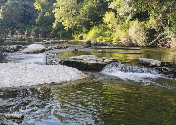 Mobil Avec Terrasse - 2 - Api-1-52-503 * Saint-Maime